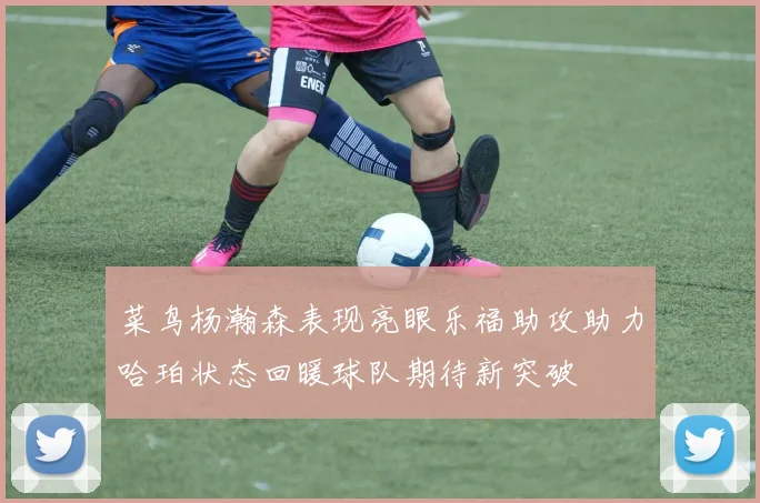 菜鸟杨瀚森表现亮眼乐福助攻助力哈珀状态回暖球队期待新突破