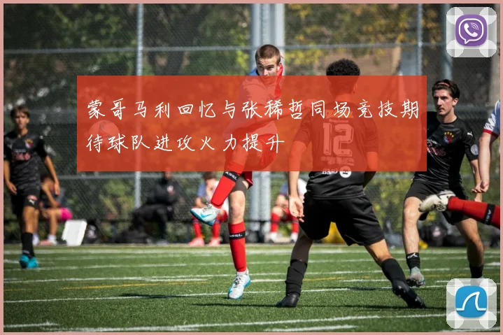 蒙哥马利回忆与张稀哲同场竞技期待球队进攻火力提升