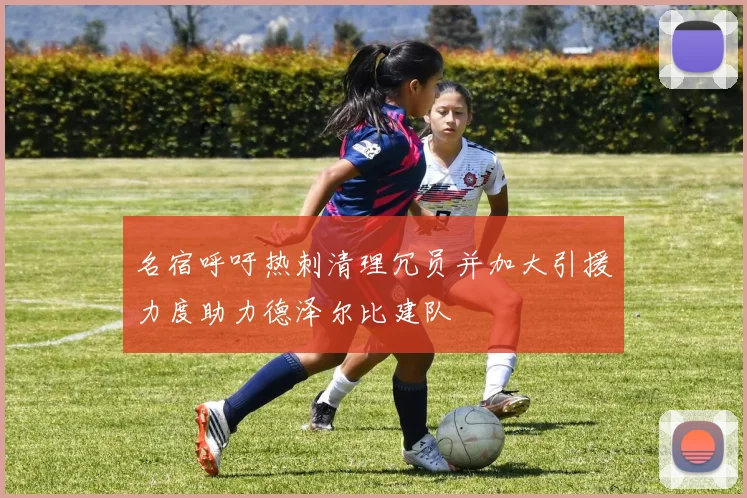 名宿呼吁热刺清理冗员并加大引援力度助力德泽尔比建队
