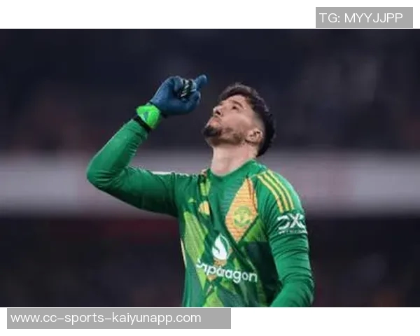 巴延德尔强调土耳其队士气高涨无论谁上场都将全力以赴争胜 巴延德尔强调土耳其队士气高涨无论谁上场都将全力以赴争胜